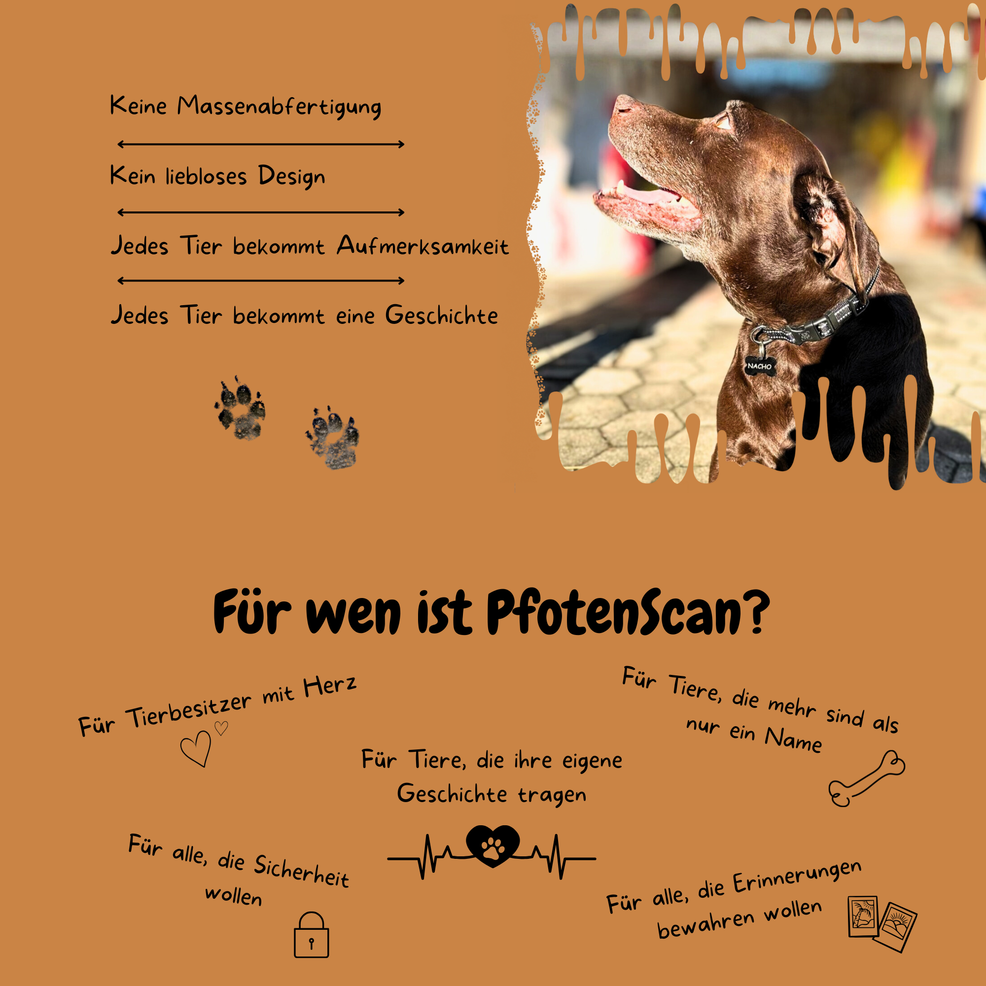 Für-wen-ist-PfotenScan&Details