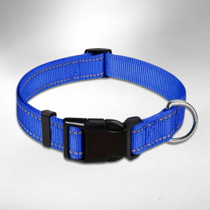 Pfotenscan-Halsband-blau