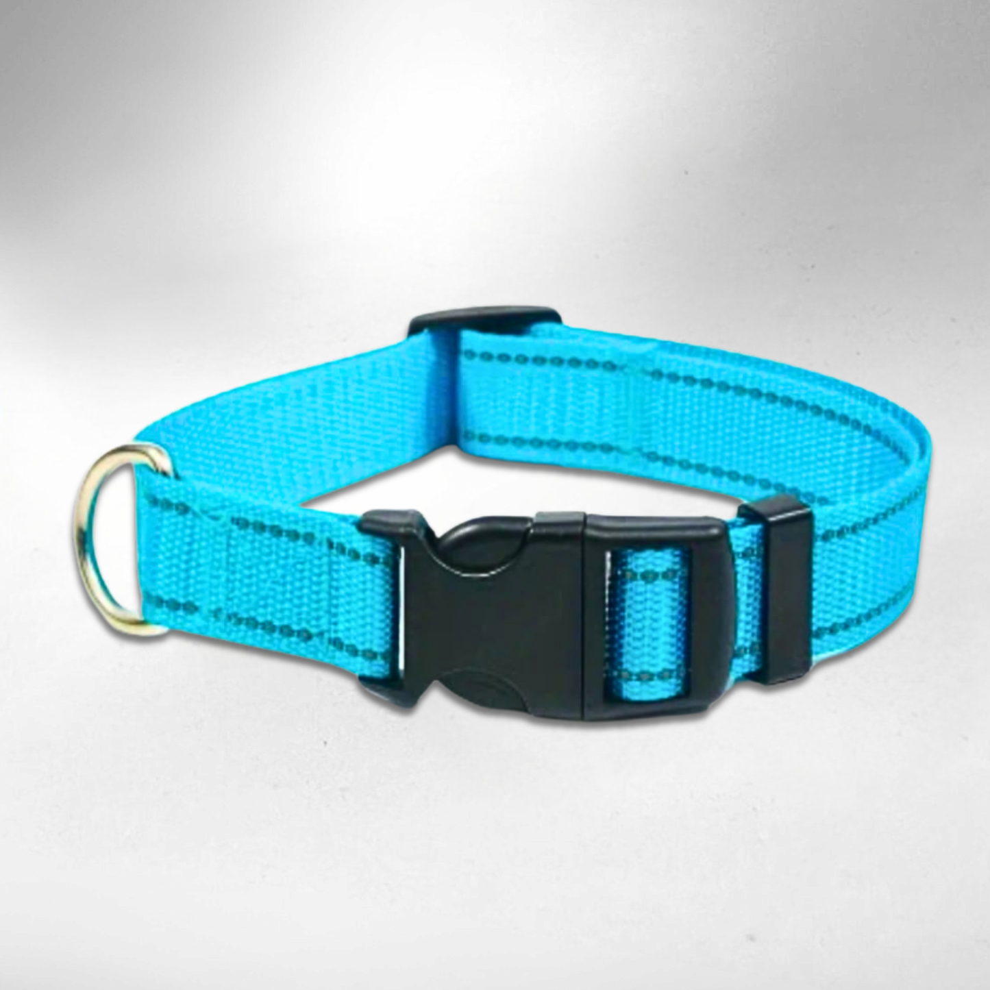 Pfotenscan-Halsband-cyan
