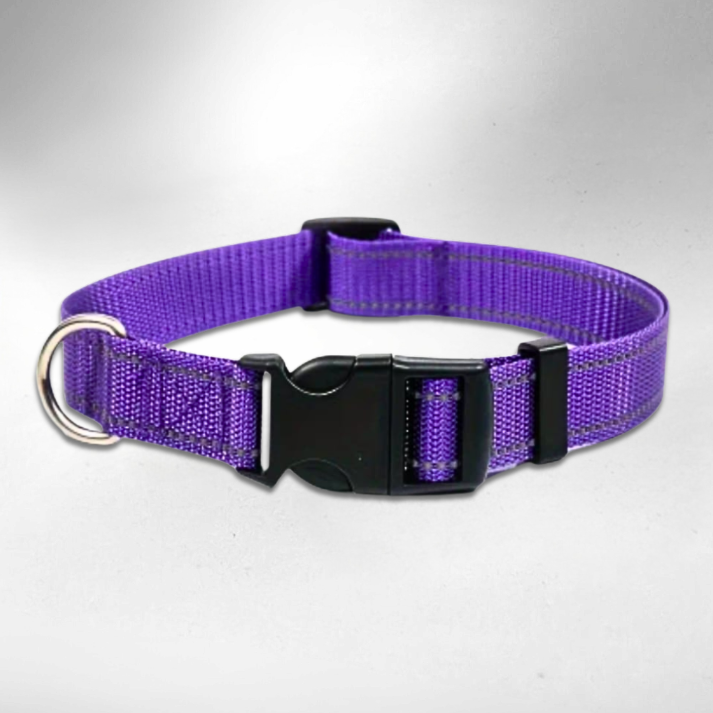 Pfotenscan-Halsband-lila