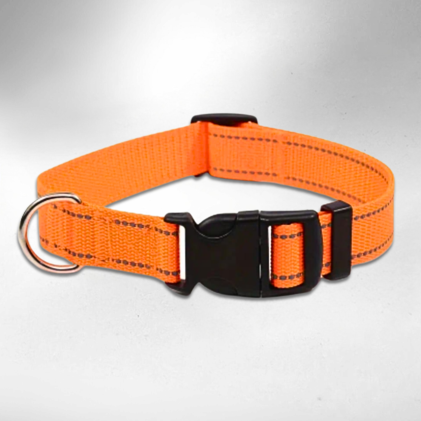 Pfotenscan-Halsband-orange