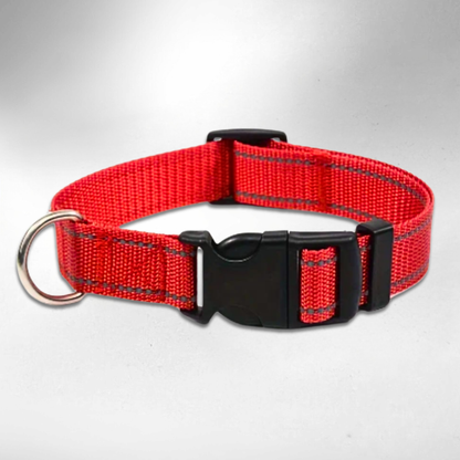 Pfotenscan-Halsband-rot
