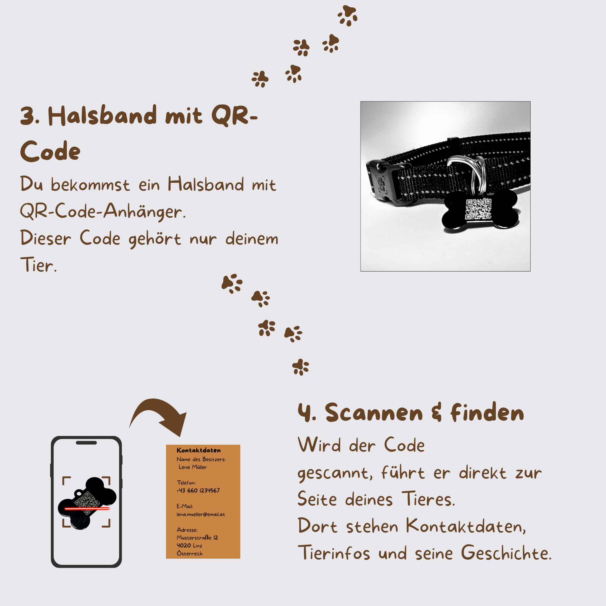 So-Funktioniert-Pfotenscan 2