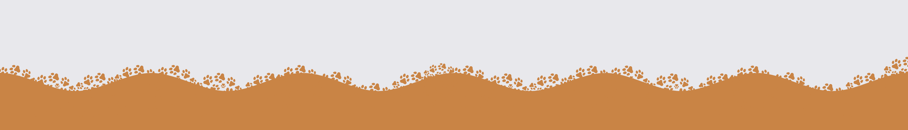 Transition-gray-brown